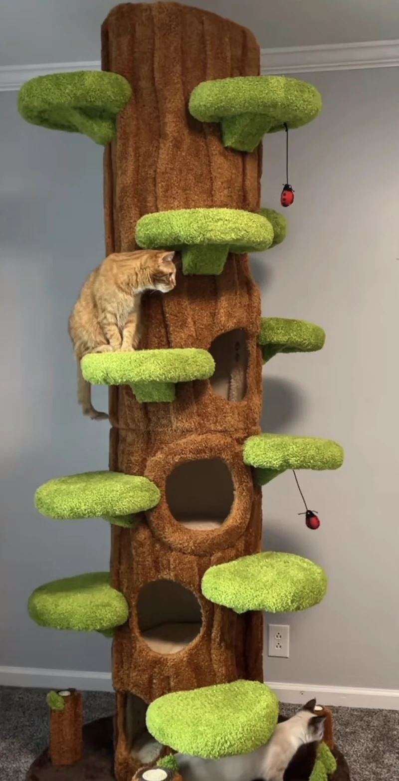 😺🌳 Cat Tree – A Natural Climbing Haven for Your Feline Friend