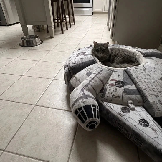 🛰️ Orbit Rest Cat Bed – A Cozy Corner for Your Little Explorer