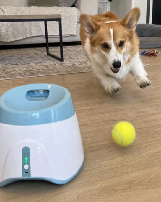 🐾Automatic Ball Launcher – Self‑Loading, Rechargeable, 3 Distance Settings