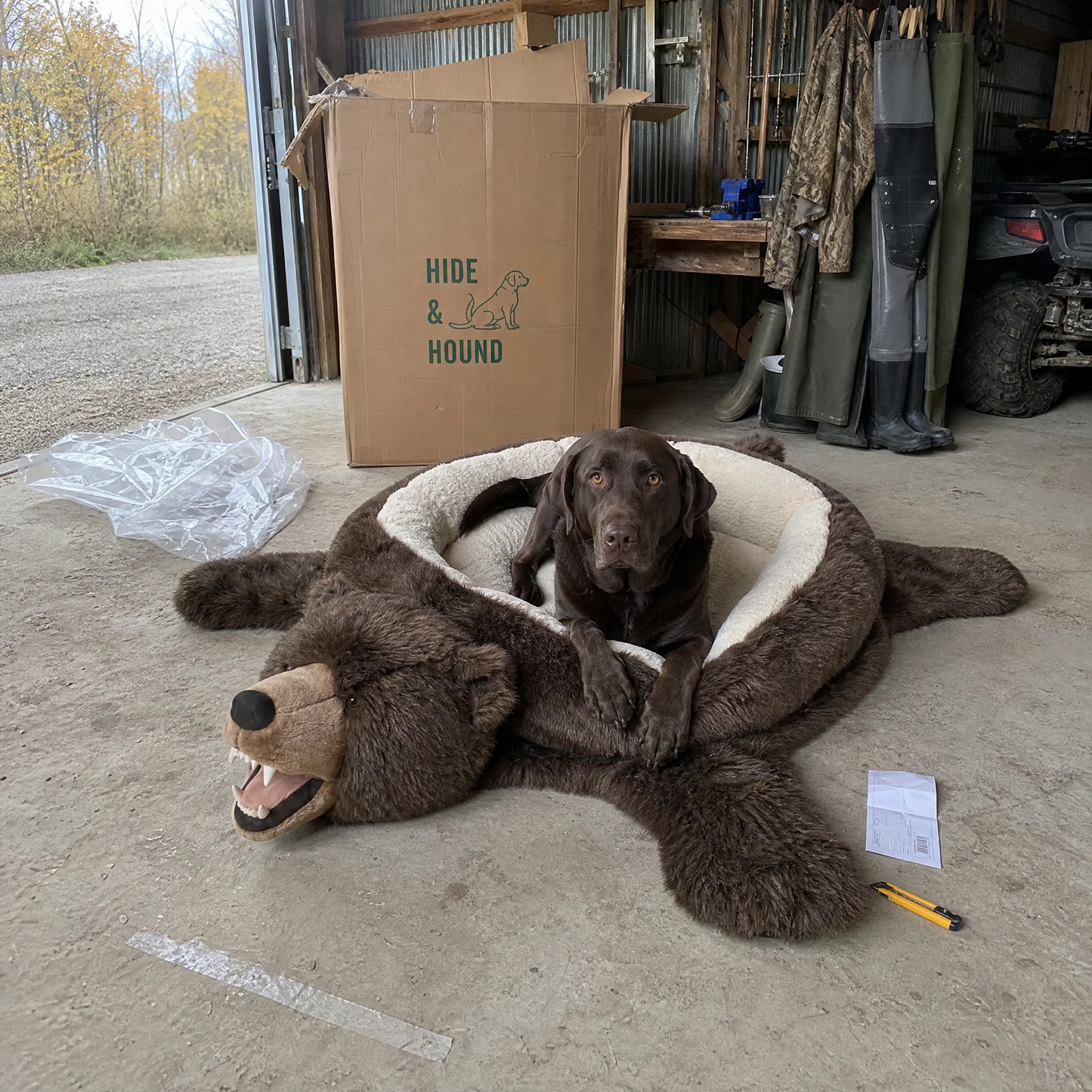 🦌 Animal Design Dog Bed