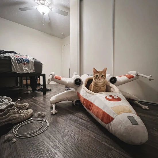 🛰️ Orbit Rest Cat Bed – A Cozy Corner for Your Little Explorer